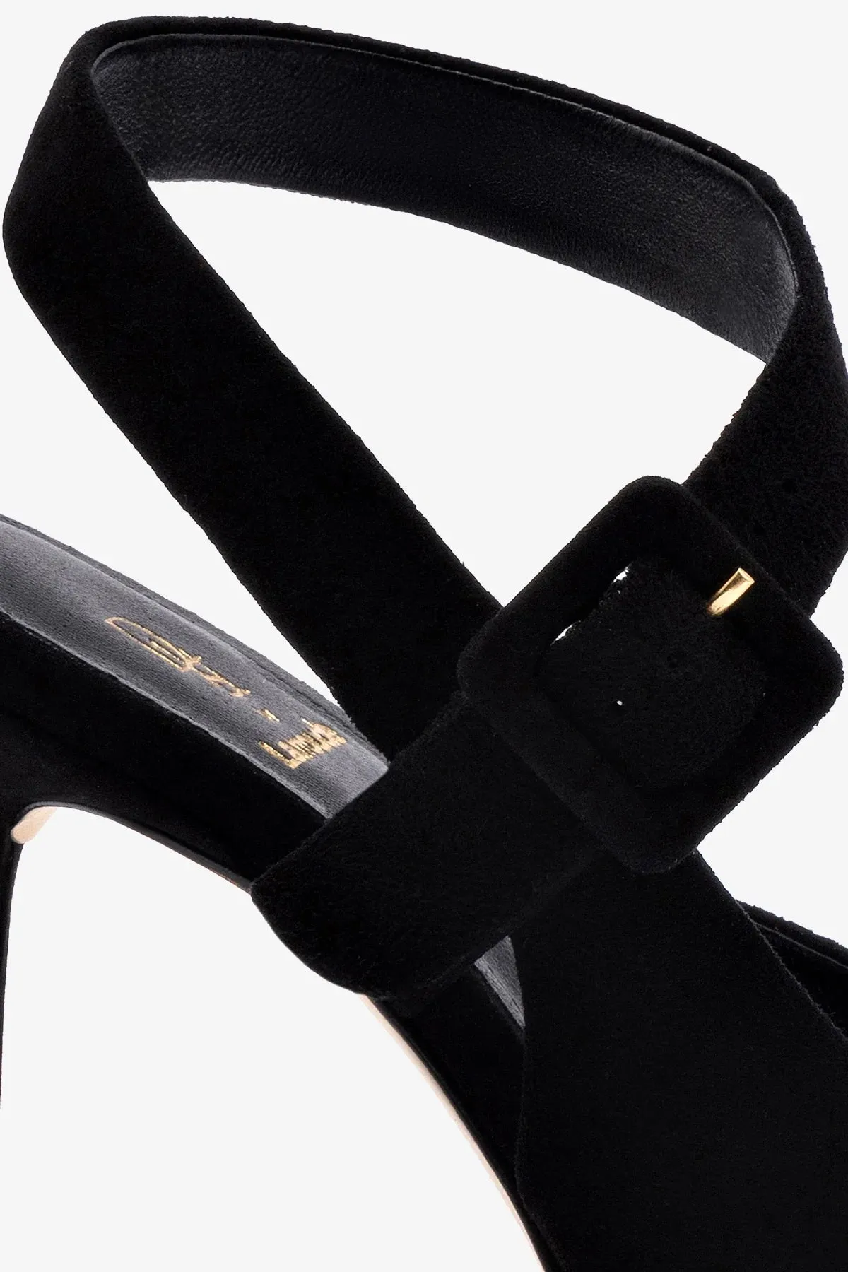 Deena By Larroud Pump In Black Suede