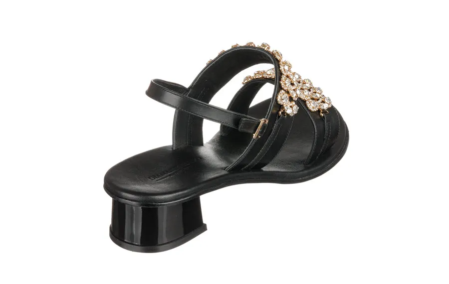 Dr Midas Black