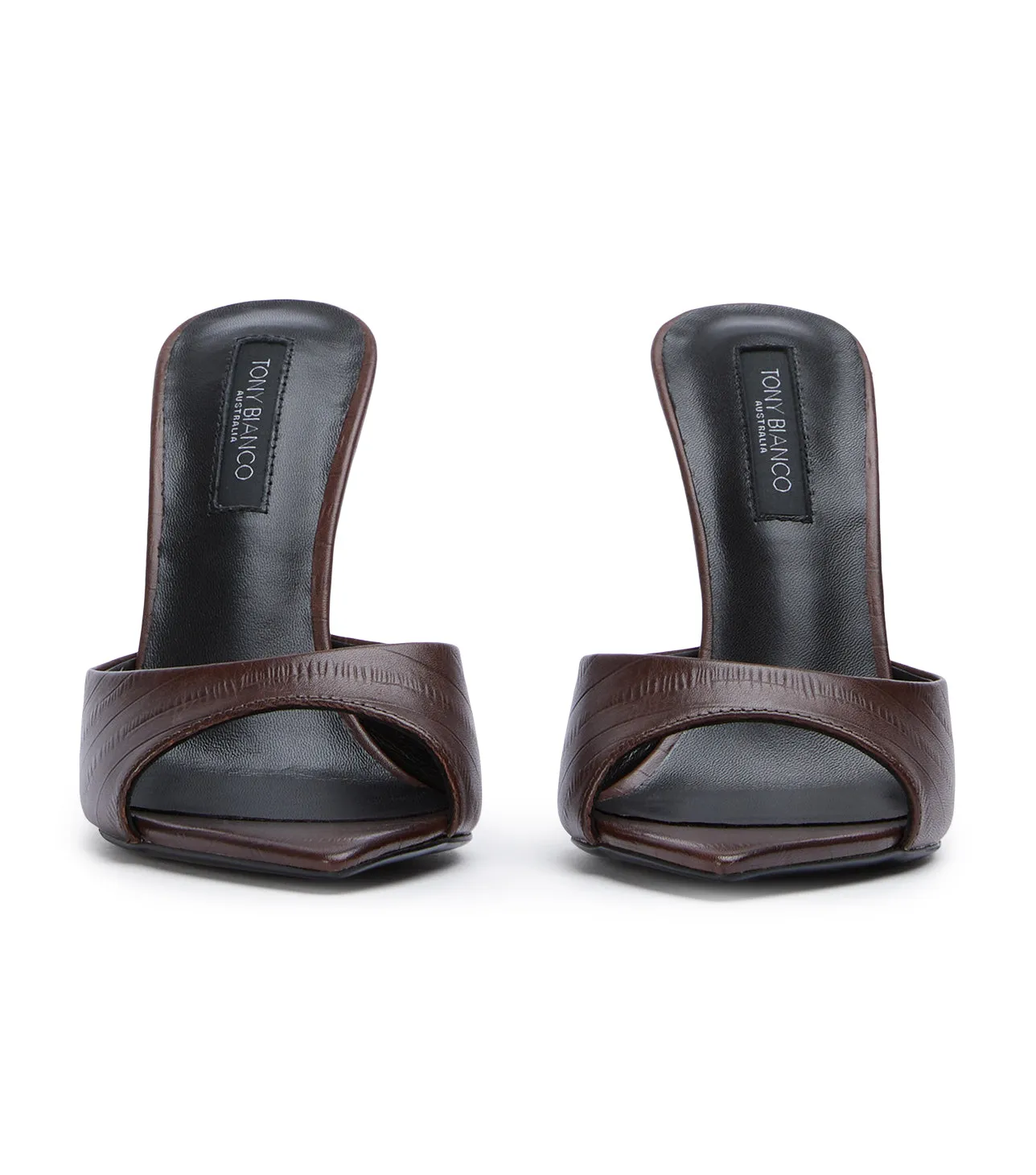 Malibu Brown Anguille