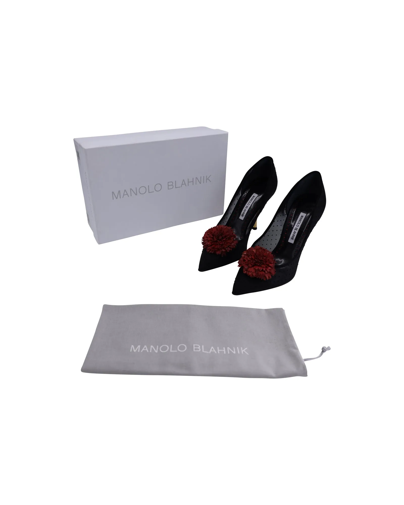 Manolo Blahnik Sohemias 105 Pointed-Toe Pumps in Black Mesh