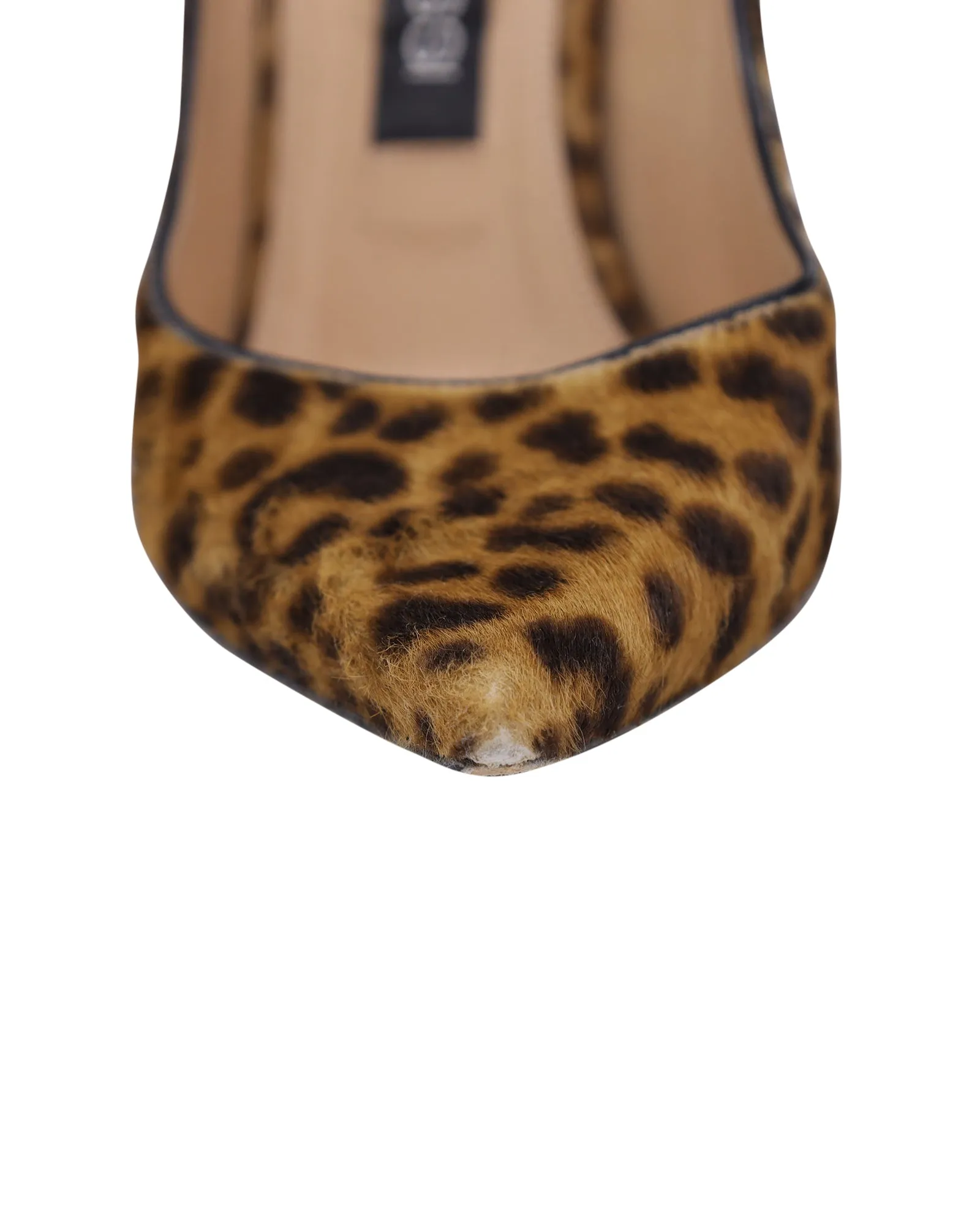 Sergio Rossi Pointed Toe Pumps in Animal Print Pony Hair