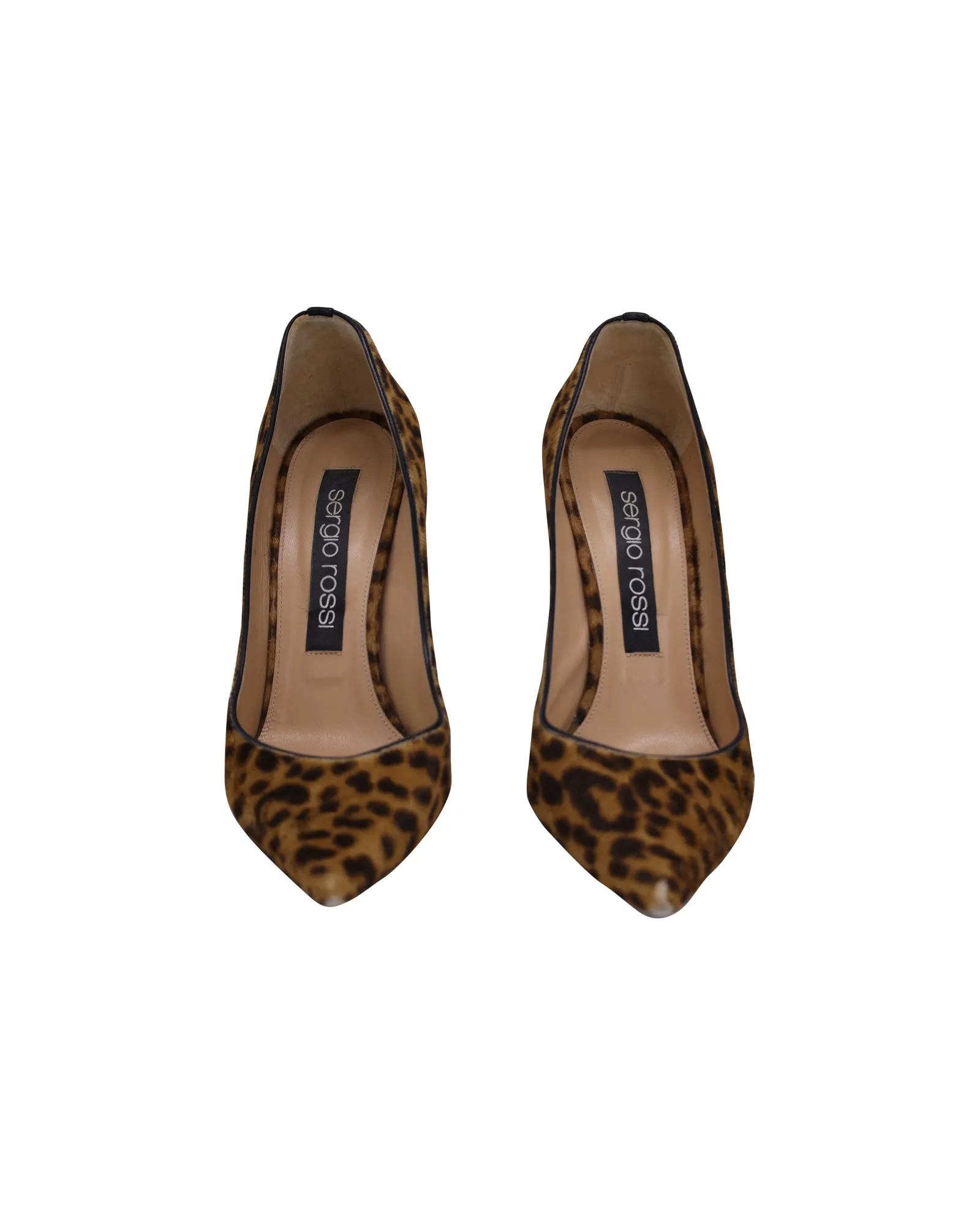 Sergio Rossi Pointed Toe Pumps in Animal Print Pony Hair