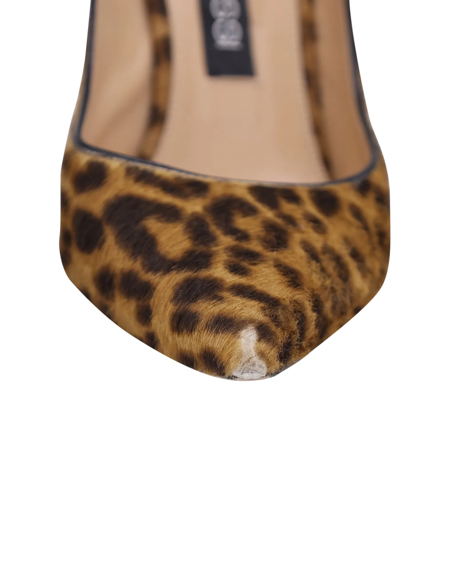 Sergio Rossi Pointed Toe Pumps in Animal Print Pony Hair