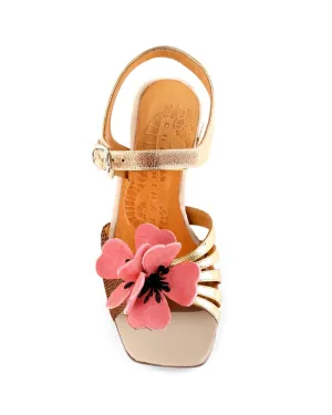 Women Piruca Shoes In Beige